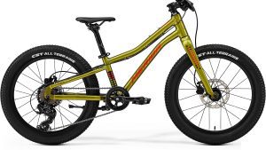 Dviratis Merida Matts J.20+ I3 fall green(red/black)