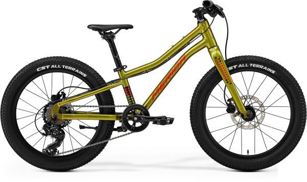 Dviratis Merida Matts J.20+ I3 fall green(red/black)