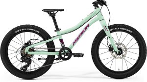 Dviratis Merida Matts J.20+ I3 matt mint(purple/wht/blk)