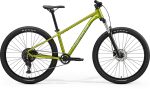 Dviratis Merida Big.Seven 20 2026 fall green(silvergreen)